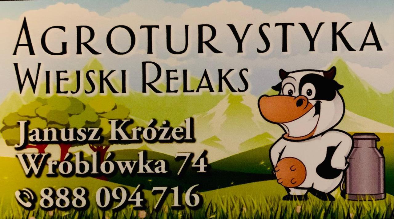 Wiejski Relaks Czarny Dunajec Bagian luar foto